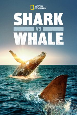 Shark Vs. Whale's poster