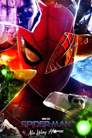 Spider-Man: No Way Home's poster