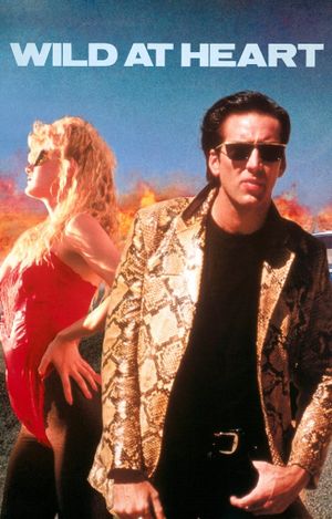 Wild at Heart's poster