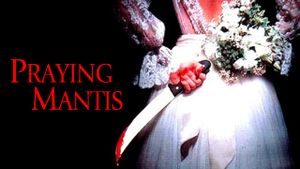 Praying Mantis's poster