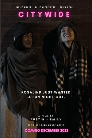 Citywide's poster