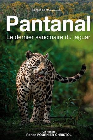 Pantanal, le dernier sanctuaire du jaguar's poster