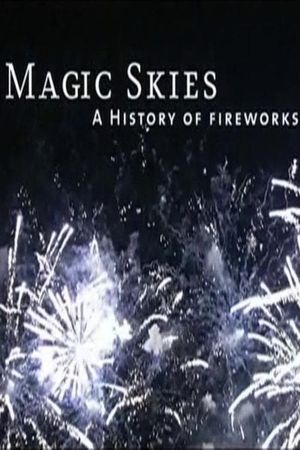 Magic Skies: A History of the Art of Fireworks's poster