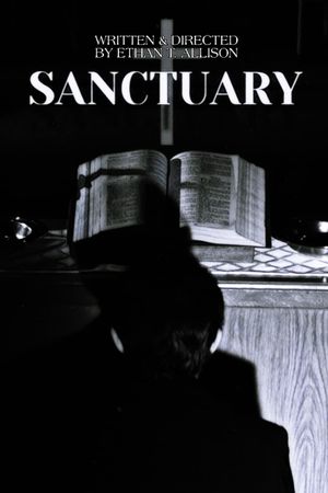 Sanctuary's poster