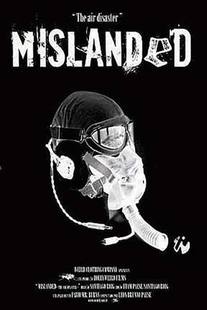 Mislanded: The Air Disaster's poster