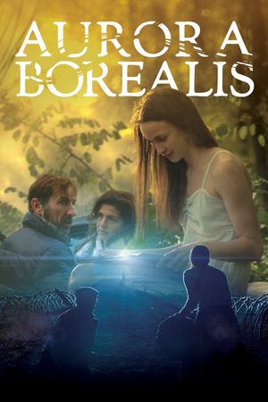 Aurora Borealis: Northern Light's poster