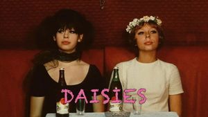 Daisies's poster