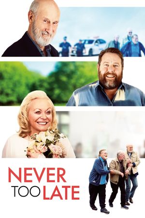 Never Too Late's poster