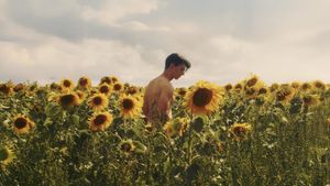 Sunflower's poster