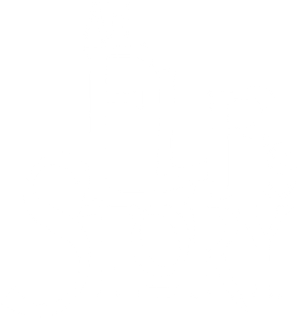 An Elf's Story's poster