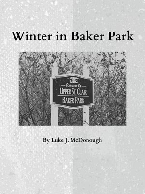 Winter in Baker Park's poster