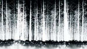 The Blair Witch Project's poster