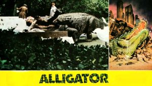 Alligator's poster