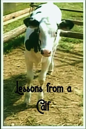 Lessons from a Calf's poster