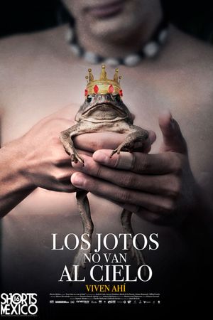 Los jotos no van al cielo's poster