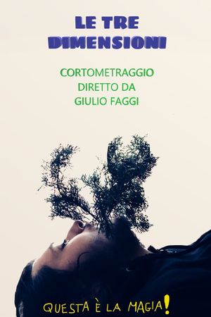Le tre dimensioni's poster