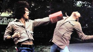 Kung Fu Master Named Drunk Cat's poster