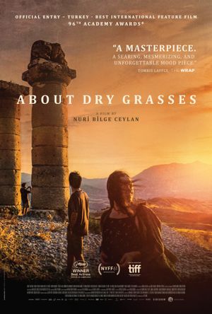 About Dry Grasses's poster