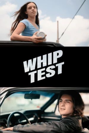 Whip Test's poster image