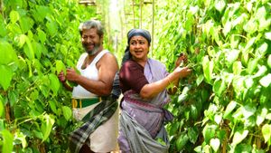 Pattathu Arasan's poster