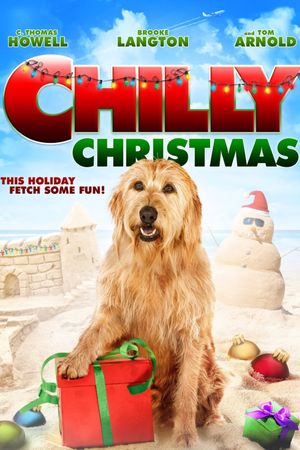 Chilly Christmas's poster image