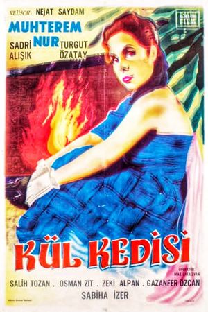 Kül kedisi's poster