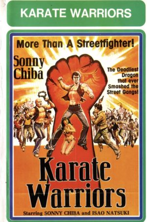 Karate Warriors's poster