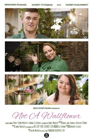Not a Wallflower's poster