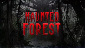 Haunted Forest's poster
