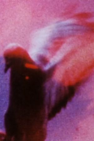 Long Eyes of Earth's poster