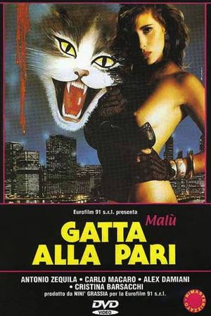 Gatta alla pari's poster