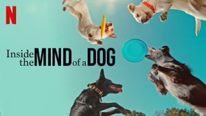 Inside the Mind of a Dog's poster