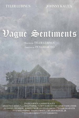 Vague Sentiments's poster