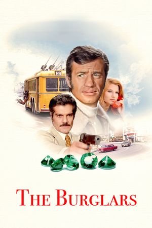 The Burglars's poster