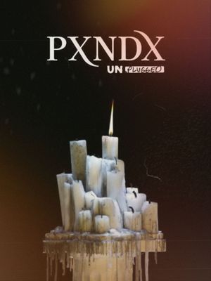 Panda MTV Unplugged's poster
