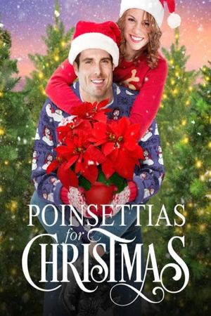 Poinsettias for Christmas's poster
