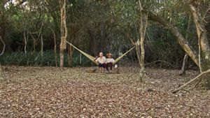 Paraguayan Hammock's poster