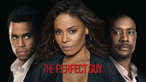 The Perfect Guy's poster