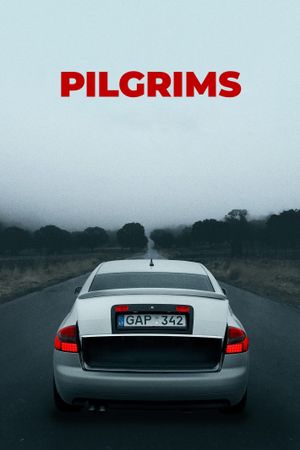 Pilgrims's poster