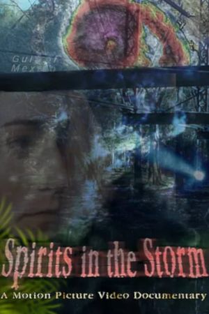 Spirits in the Storm's poster