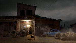 Once Upon a Time in Anatolia's poster