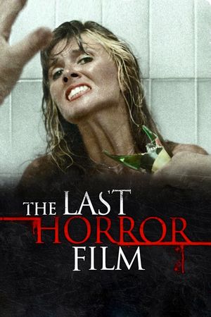 The Last Horror Film's poster