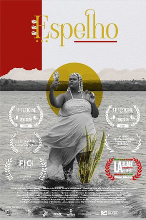 Mirror's poster