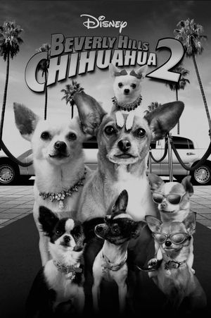 Beverly Hills Chihuahua 2's poster