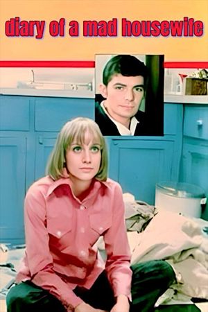 Diary of a Mad Housewife's poster