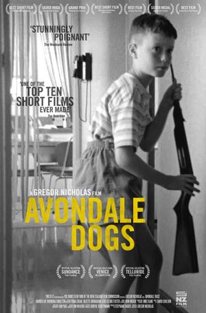 Avondale Dogs's poster
