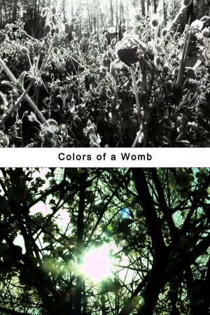 Colors of a Womb's poster