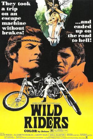 Wild Riders's poster