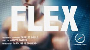 Flex's poster