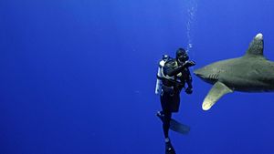 World's Most Dangerous Shark?'s poster